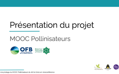 Démarrage du Mooc Pollinisateurs !